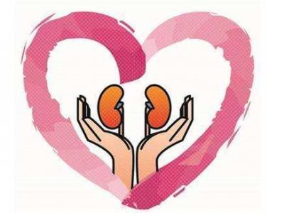 堅持下面這四種習慣對腎臟有好處