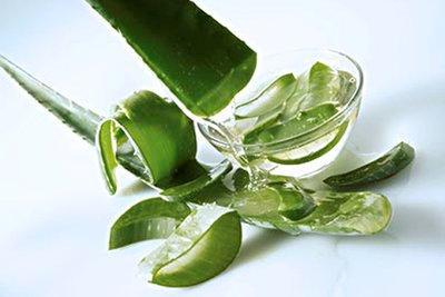 長(zhǎng)期堅(jiān)持抹蘆薈膠對(duì)皮膚有哪些好處
