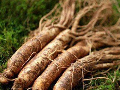 幾個(gè)簡(jiǎn)單的技巧來(lái)區(qū)別人參的真假