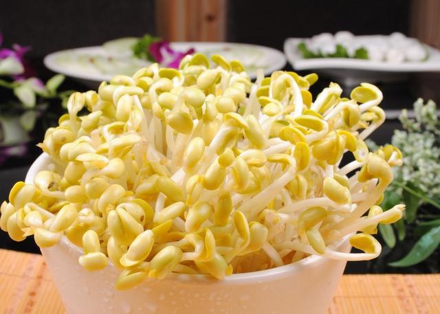 黃豆芽和哪些食材一起炒營養(yǎng)更好