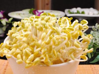 黃豆芽和哪些食材一起炒營養更好