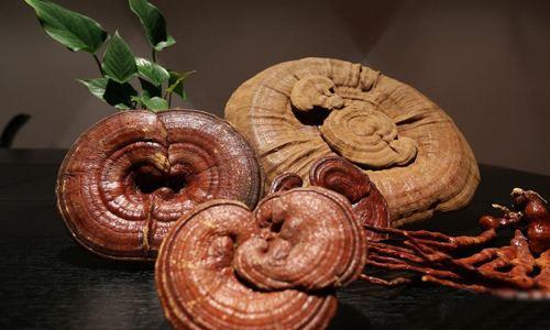 野生的靈芝用來泡酒喝有哪些功效