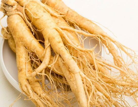 野人參應(yīng)該如何服用藥用效果最好