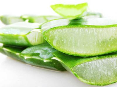 家中種的蘆薈植物如何處理用來涂臉