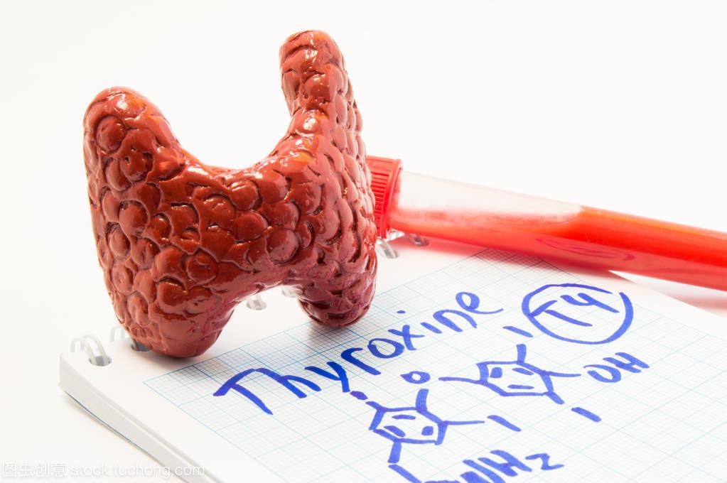 甲狀腺激素的正常值范圍區間是多少