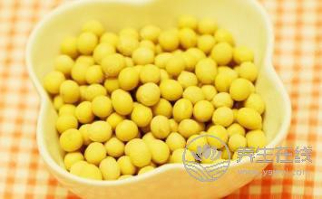 神奇黃豆豐胸瘦身餐