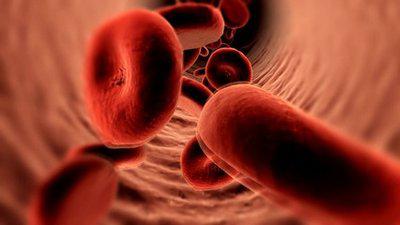 血管堵塞會(huì)導(dǎo)致頭部有四種情況出現(xiàn)