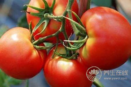 多吃西紅柿有什么好處?西紅柿營養價值有哪些?-易網健康養生網 多吃西紅柿有什么好處?西紅柿營養價值有哪些?