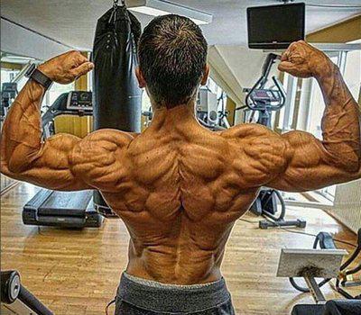 肩部的肌肉有哪些通過認識肌肉改善肩周炎