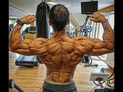 肩部的肌肉有哪些通過認(rèn)識肌肉改善肩周炎