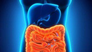 這四個對腸胃好的習慣應該多多堅持-易網健康<a href=http://m.henggaotouzi.com/jkys/ target=_blank class=infotextkey>養生</a>網 這四個對腸胃好的習慣應該多多堅持