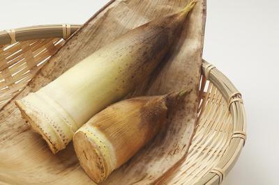 冬筍的營養以及冬筍的功效與作用-易網健康<a href=http://m.henggaotouzi.com/jkys/ target=_blank class=infotextkey>養生</a>網 冬筍的營養以及冬筍的功效與作用