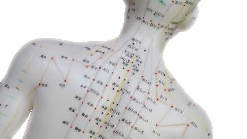 兩個速效救命穴位關(guān)鍵時(shí)刻點(diǎn)按一分鐘能救命-易網(wǎng)健康<a href=http://m.henggaotouzi.com/jkys/ target=_blank class=infotextkey>養(yǎng)生</a>網(wǎng) 兩個速效救命穴位關(guān)鍵時(shí)刻點(diǎn)按一分鐘能救命