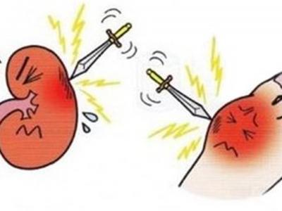 身體沒有出現這五個表現說明你腎臟不錯