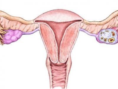 女性有沒有生過孩子究竟有什么不一樣