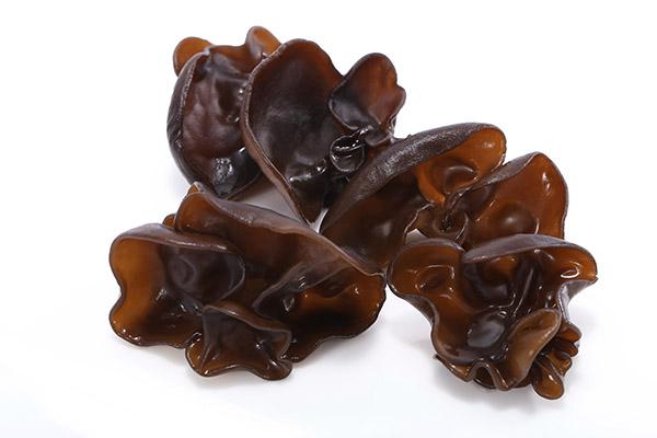 詳解木耳的藥用功效