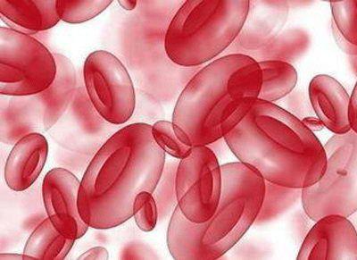 血小板減少如果不小心會危及生命-易網健康<a href=http://m.henggaotouzi.com/jkys/ target=_blank class=infotextkey>養生</a>網 血小板減少如果不小心會危及生命