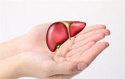 肝功能下降這會個部位先開始疼痛-易網健康<a href=http://m.henggaotouzi.com/jkys/ target=_blank class=infotextkey>養生</a>網 肝功能下降這會個部位先開始疼痛