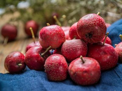 山楂的養(yǎng)生藥用功效 山楂對身體有什么好處