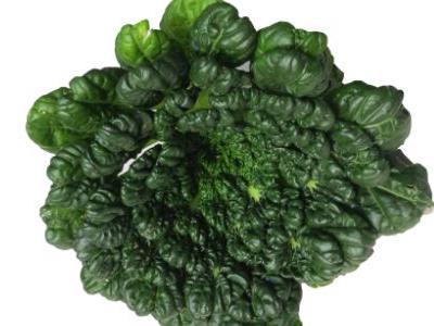 塔菜的營養價值以及塔菜功效與作用