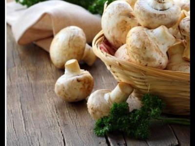 女性懷孕后孕晚期需要補充哪些營養