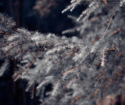健身的人群在冬天運動時需要注意重點講解