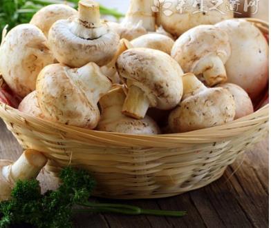 適合中老年人冬季養(yǎng)生的食物有哪些