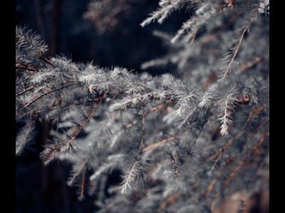 健身的人群在冬天運(yùn)動(dòng)時(shí)需要注意重點(diǎn)講解