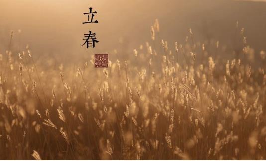 春季適合我們養生的防護技巧有哪些