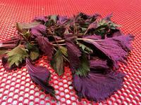 這幾款茶和粥,幫你健脾養胃化痰止咳!-易網<a href=http://m.henggaotouzi.com/ target=_blank class=infotextkey>健康養生</a>網 這幾款茶和粥,幫你健脾養胃化痰止咳!