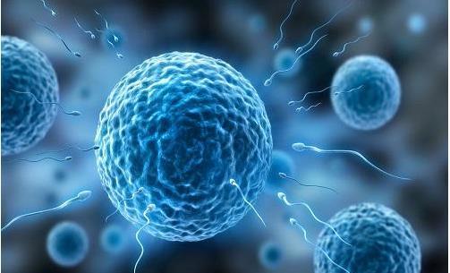 男性精子和性能力常見的錯誤認知解答