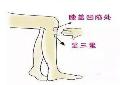 提高免疫力,市民可這樣“艾”自己-易網健康養生網 提高免疫力,市民可這樣“艾”自己