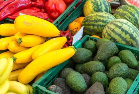 食物中毒如何判斷的標準