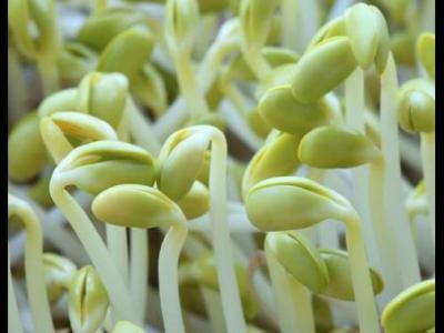 夏季如何科學養(yǎng)生