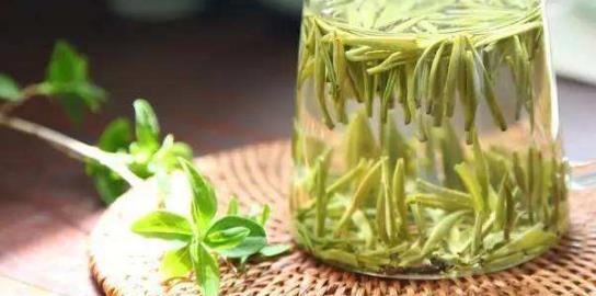 泡水喝野藤茶補(bǔ)充身體氨基酸保健作用