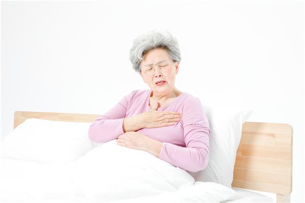 松子的作用與功效