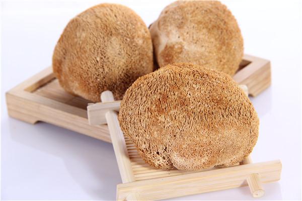 猴頭菇的作用與功效