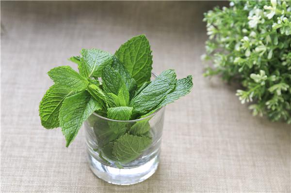 清肺吃什么食材