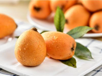 枇杷的功效與作用