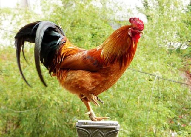 這好多個(gè)養(yǎng)生健康方式，堅(jiān)持到底，毫無(wú)疑問(wèn)會(huì)獲得出乎意料的實(shí)際效果