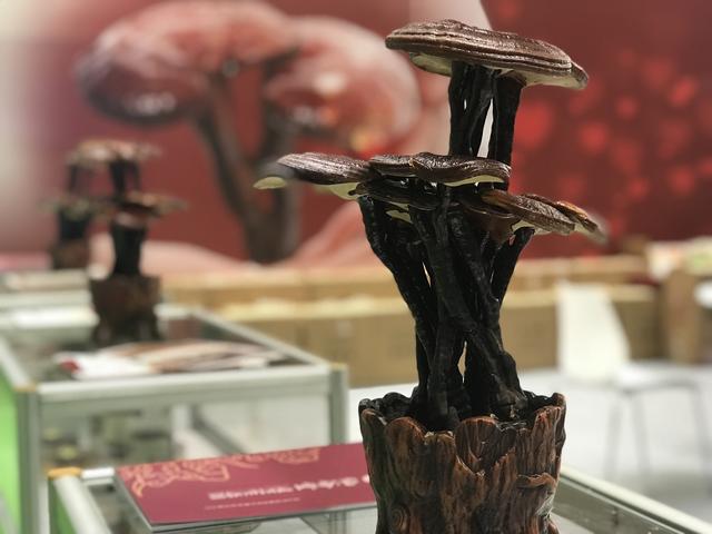 怎樣煲養(yǎng)生湯？廣州琶洲這里有民俗高手 當(dāng)場(chǎng)解讀和制做！