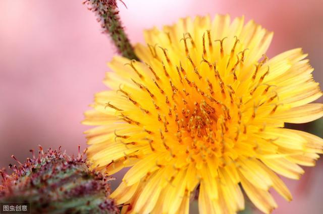 老醫(yī)生講：“吃三菜、飲二茶”，健康保健又健康養(yǎng)生