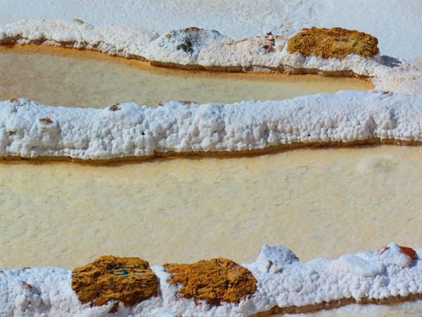 清晨醒來喝一杯蜂蜜檸檬水？高級營養師解釋：喝這2翡翠的種才最健康養生