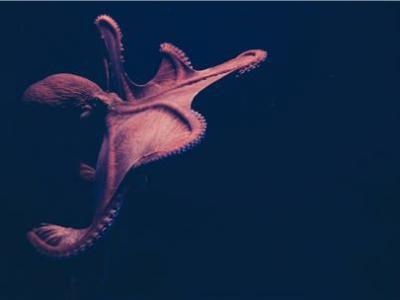 學中醫養身，這4個方法都是“根本所在”！簡單功能強大