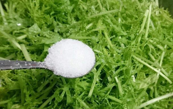 銀絲菜的作用與功效