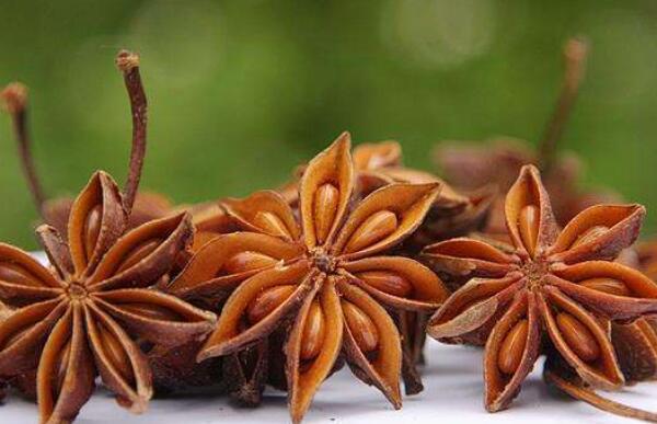 八角熬水的作用與功效及禁忌