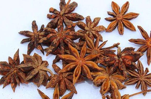 八角外敷的作用與功效