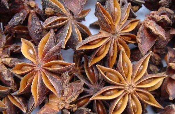 八角的功效與作用及吃法