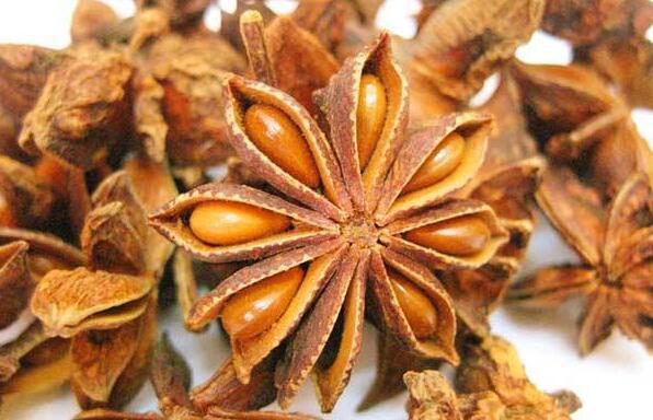 八角的功效與作用及吃法