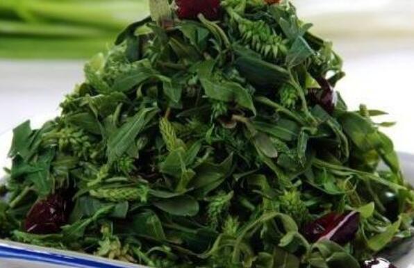 刺兒菜怎么吃 刺兒菜的食用方法全集